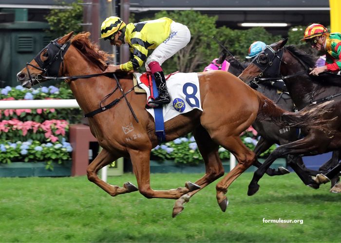 Lonab Journal Hippique