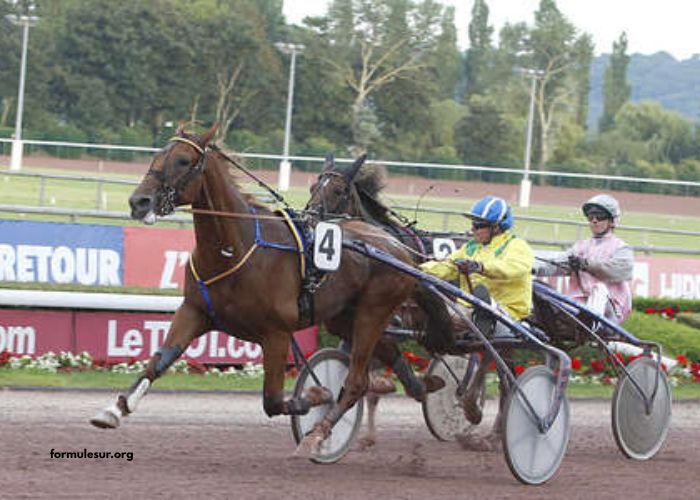 Trio Tiercé Vip