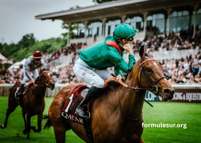 France Turf Vip