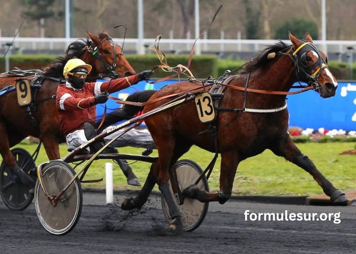Lavoyeuse Coup SU Du Jr (1)