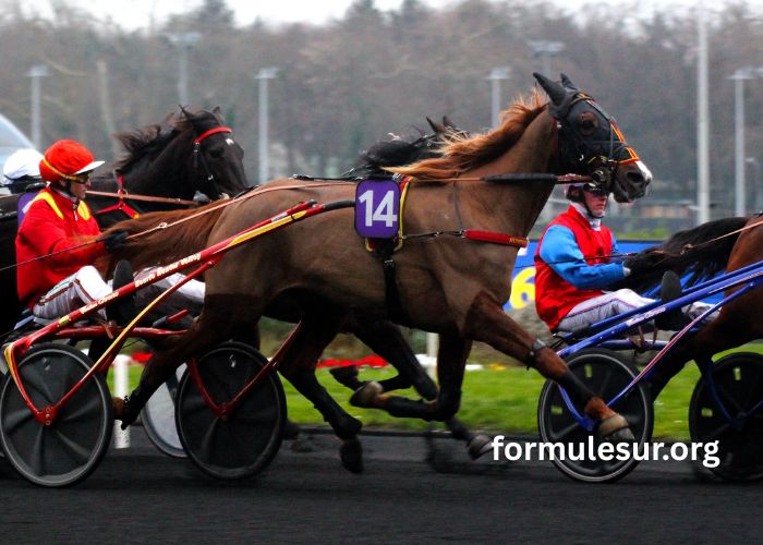 Ordre-Tierce Vip (1)