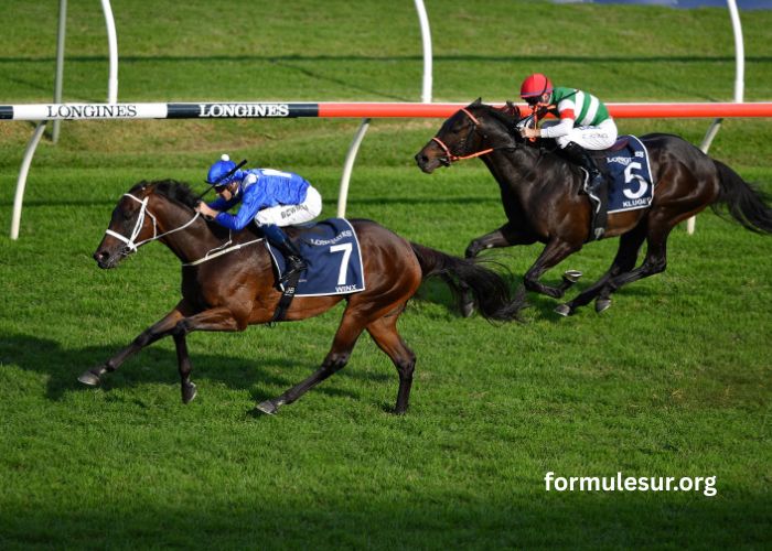 Turf Dernière Minute