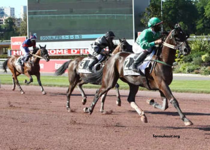 Passage Oblige 100 % Gratuit (1)