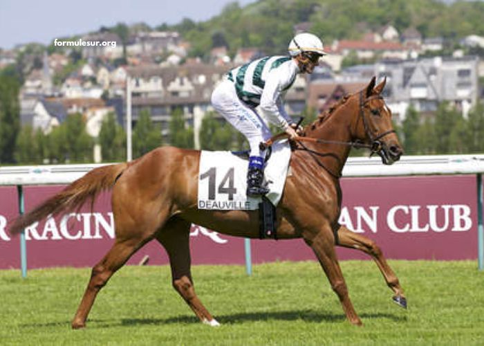 Lebosse Du Turf