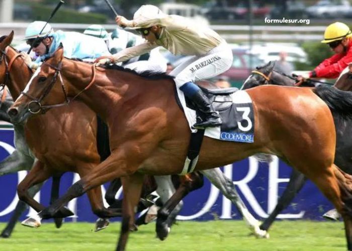 Turf Jeu Simple